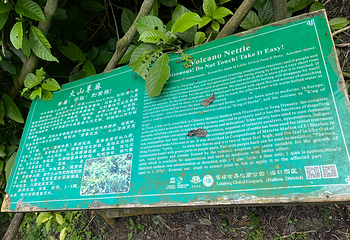 雷琼海口火山群世界地质公园第 105 张图片