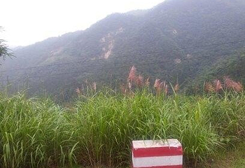 大别山峡谷漂流第 15 张图片