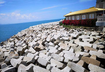 海棠广场第 35 张图片