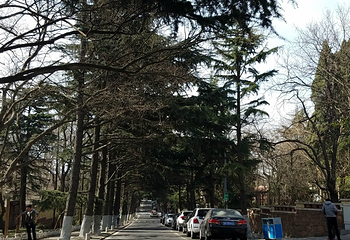 青岛大学(浮山校区)第 19 张图片