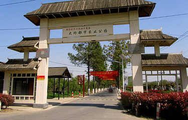 大圩生态旅游景区第 6 张图片