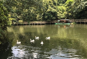 双龙沟第 67 张图片