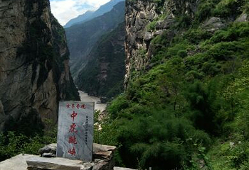中虎跳第 11 张图片