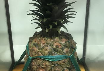 中国宜兴陶瓷博物馆第 14 张图片