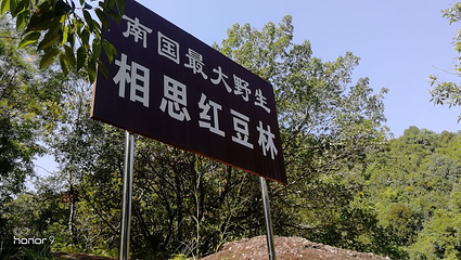 松溪河风景区第 37 张图片