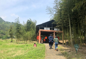 浪石金滩第 31 张图片