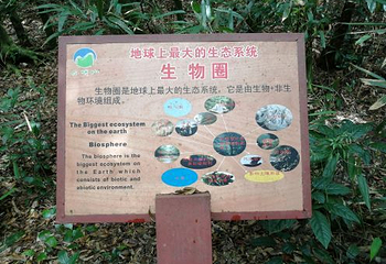 南宁大明山风景旅游区第 58 张图片