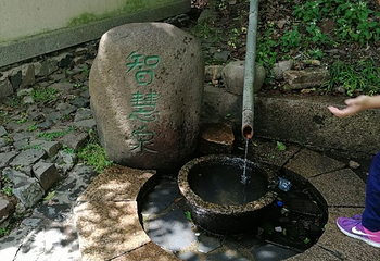 勐梭龙潭第 31 张图片