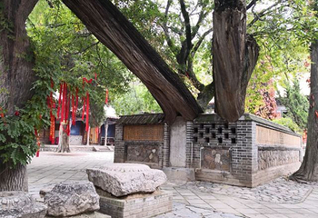 南郭寺第 17 张图片