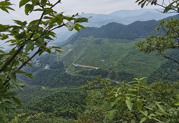 三联峒景区第 16 张图片