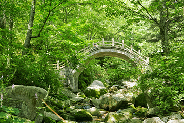 洛阳白云山风景区第 122 张图片