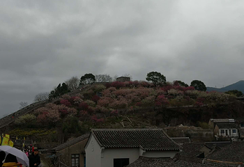 台州府城文化旅游区第 73 张图片