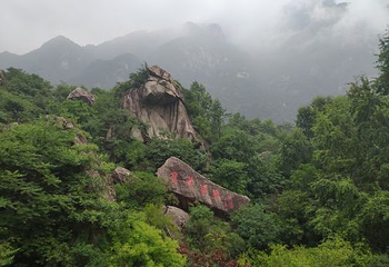 翠华山·秦岭终南山世界地质公园第 118 张图片