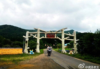 横道河子东北虎林园第 70 张图片