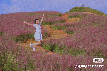 雨花谷薰衣草庄园第 10 张图片