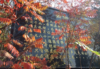 云佛山大溶洞第 6 张图片