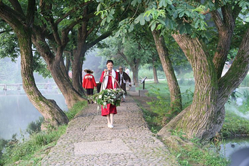 朱潭山第 9 张图片