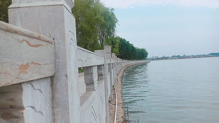 鄢陵鹤鸣湖国家湿地公园第 13 张图片