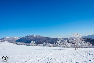 雪乡狗熊岭景区第 22 张图片