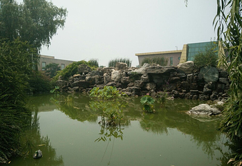 杨凌昆虫博物馆第 7 张图片