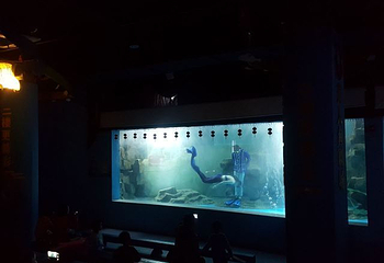 蚌埠海贝海洋乐园第 23 张图片