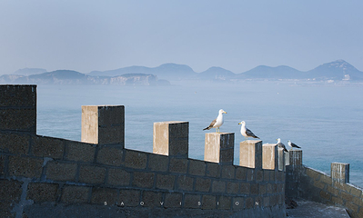 海驴岛第 36 张图片