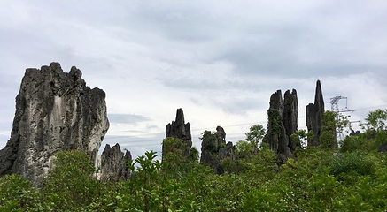 泥凼石林风景区第 17 张图片