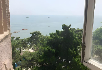 青岛森林野生动物世界第 54 张图片