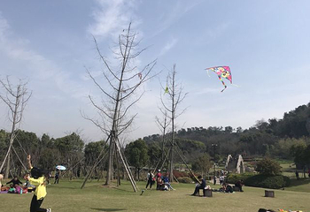 镜湖国家城市湿地公园第 17 张图片