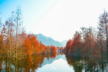 青龙湾生态旅游区第 37 张图片