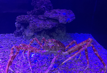 包头海洋世界第 33 张图片