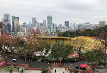 二沙岛广东体育馆第 18 张图片