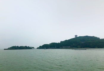 九龙灌浴第 19 张图片