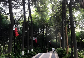 中山陵景区第 42 张图片