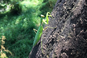 淋漓湖风景区第 18 张图片
