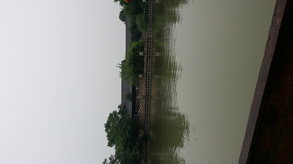 西溪湿地印象摇橹船第 20 张图片
