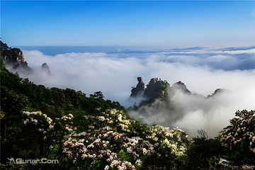 三清山风景区第 61 张图片