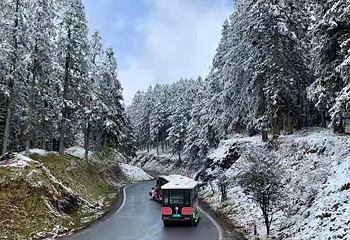 仙女山滑雪场第 21 张图片