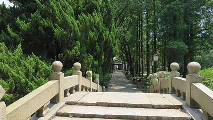 醉白池第 56 张图片