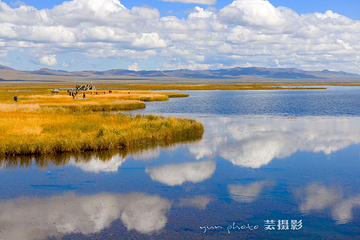 若尔盖花湖生态旅游区第 56 张图片