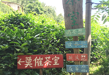 桃溪谷生态庄园第 9 张图片