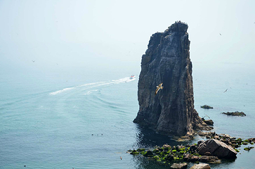 西霞口旅游度假区第 97 张图片
