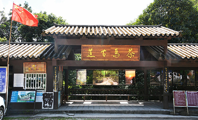 蓬壶百丈岩风景区第 38 张图片