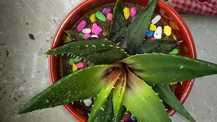 清江闯滩第 10 张图片