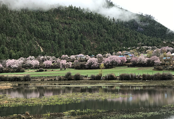 桃花沟风景区第 13 张图片