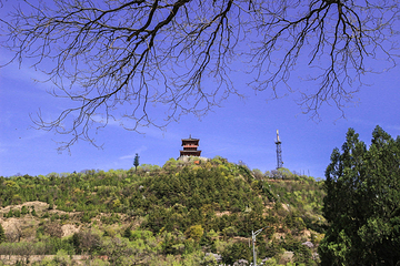 宝塔山公园第 11 张图片