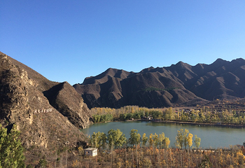 百里山水画廊—硅化木第 22 张图片
