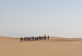 腾格里沙漠天鹅湖第 99 张图片