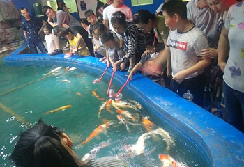 开封极地海洋世界第 29 张图片