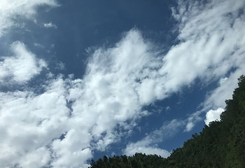 朝天吼漂流第 107 张图片